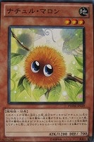 【遊戯王】ノーマル◇ナチュル・マロン