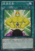【遊戯王】ノーマル◇虚栄巨影