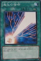 【遊戯王】ノーマル)魔法◆進化の宿命