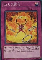 【遊戯王】ノーマル◇燃える闘志