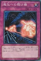 【遊戯王】ノーマル◇進化への懸け橋