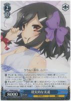 【ヴァイス】R)ノーマル仕様◇現実的な美遊