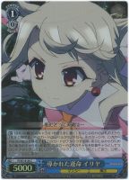 【ヴァイス】C)ホロ仕様◇導かれた運命 イリヤ