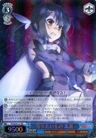 【ヴァイス】ＲＲ）ホロ仕様◇守りたいもの　美遊