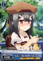 ヴァイスシュヴァルツ いつもの風景 イリヤ SP サイン プリズマ