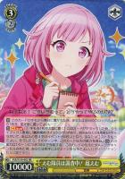 【ヴァイス】RR◇えむ隊員は調査中! 鳳えむ