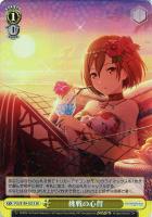 【ヴァイス】SR◇挑戦の心得