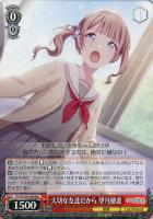 【ヴァイス】RR◇大切な友達だから 望月穂波