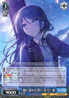 胸に秘めた誓い 星乃一歌