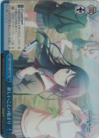 新しいことの始まり