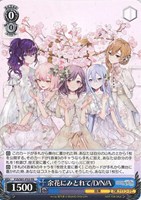 余花にみとれて/D/N/A