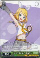 Vivid BAD SQUAD 白石杏【ヴァイスシュヴァルツトレカ高価買取