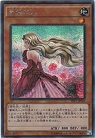 No．21 氷結のレディ・ジャスティス【遊戯王トレカお買得