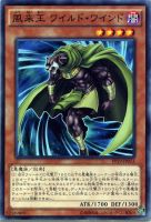 【遊戯王】ノーマル)モンスター◇風来王 ワイルド・ワインド