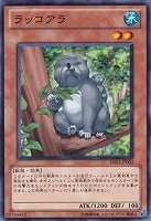 【遊戯王】ノーマルレア◇ラッコアラ