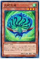 【遊戯王】ノーマルレア◇九蛇孔雀
