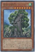 【遊戯王】レア◇森羅の賢樹 シャーマン