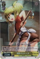 【ヴァイス】TD)ホロ仕様◇掃除するキャル