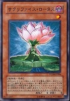 【遊戯王】ノーマル)モンスター◇サクリファイス・ロータス
