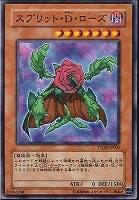 【遊戯王】ノーマル)モンスター◆スプリット・D・ローズ