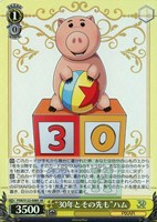 【ヴァイス】ＳＲ◇“30年とその先も”ハム