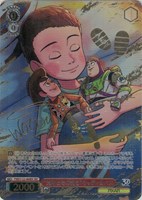 【ヴァイス】ＳＥＣ）サイン付◇“30年とその先も”ウッディ＆バズ