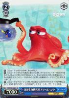 【ヴァイス】SR◇海洋生物研究所 ドリー&ハンク
