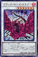 カードを買う/遊戯王/RARITY COLLECTIONシリーズ/QUARTER カードを買う/遊戯王/RARITY COLLECTIONシリーズ/QUARTER