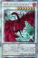 カードを買う/遊戯王/RARITY COLLECTIONシリーズ/QUARTER