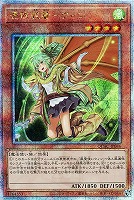 水霊媒師エリア 25thシク