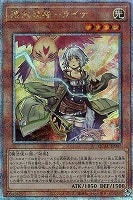 カードを買う/遊戯王/RARITY COLLECTIONシリーズ/QUARTER