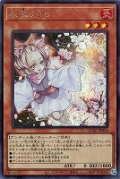 カードを売る/遊戯王/RARITY COLLECTIONシリーズ/QUARTER