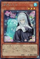 カードを買う/遊戯王/RARITY COLLECTIONシリーズ(並び順:発売日 カードを買う/遊戯王/RARITY COLLECTIONシリーズ(並び順:発売日