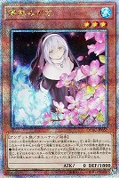 【遊戯王】QCSE)立ち◇儚無みずき