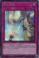 カードを買う/遊戯王/RARITY COLLECTIONシリーズ/QUARTER