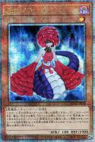 【遊戯王】QCSE◇DDラミア