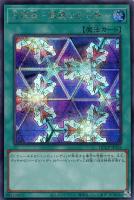 カードを買う/遊戯王/RARITY COLLECTIONシリーズ(並び順：新着順