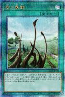 【遊戯王】QCSE◇竜の霊廟