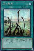 【遊戯王】シークレットレア◇竜の霊廟