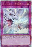 【遊戯王】QCSE◆ライトロードの裁き