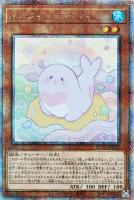 【遊戯王】QCSE◆メルフィー・ラッシィ