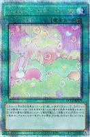 【遊戯王】QCSE◆メルフィーのかくれんぼ