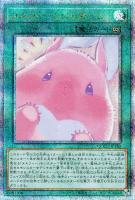 【遊戯王】QCSE◆メルフィーとにらめっこ