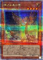【遊戯王】QCSE◇輝ける星の竜