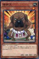 遊戯王 太陽の神官 太陽の神官 | カード詳細 | 遊戯王ニューロン(オフィシャル