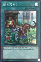 六武の門 遊戯王トレカお買得価格通販 トレコロ 六武の門 遊戯王トレカお買得価格通販 トレコロ