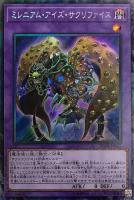 竜騎士 ブラック・マジシャン・ガール【遊戯王トレカお買得価格