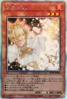商品検索(並び順：新着順)/ カード通販 | トレコロ - トレカ