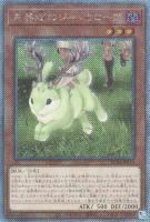 カードを売る/遊戯王/RARITY COLLECTIONシリーズ(並び順:発売日 カードを売る/遊戯王/RARITY COLLECTIONシリーズ(並び順:発売日
