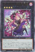 カードを買う/遊戯王/RARITY COLLECTIONシリーズ(並び順：商品